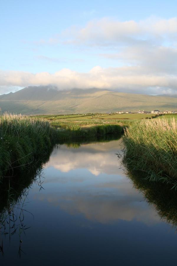 An Riasc 4* Ballydavid